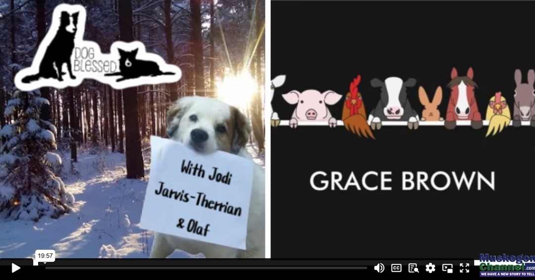 Jodi Jarvis Therrain interview.png